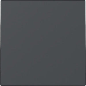 GIRA 329628 Wippe 1fach System 55 Anthrazit
